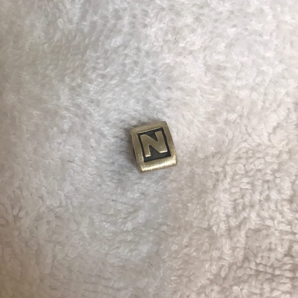 Pandora N Charm